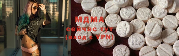 мдпв Бородино
