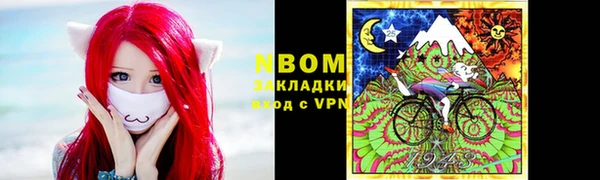 прущие грибы Бронницы