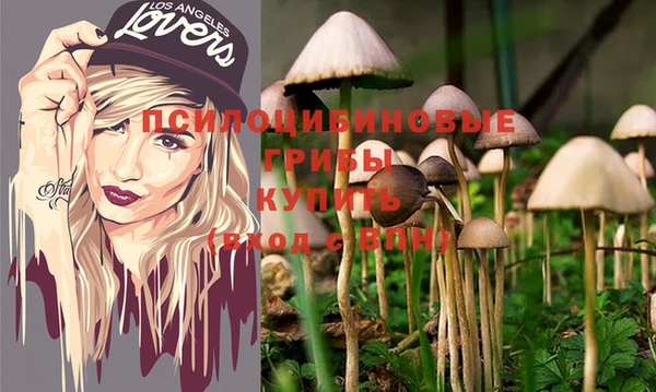 прущие грибы Бронницы
