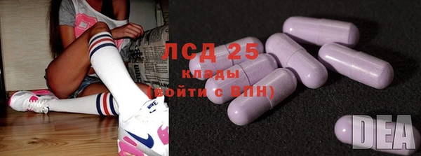 мдпв Бородино