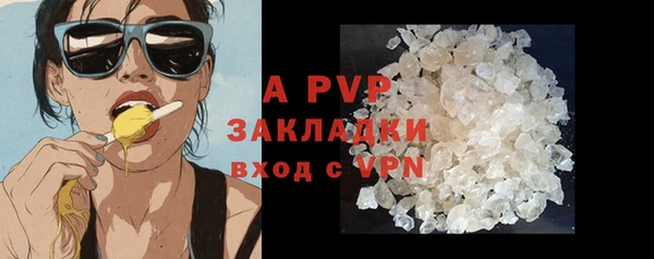 прущие грибы Бронницы