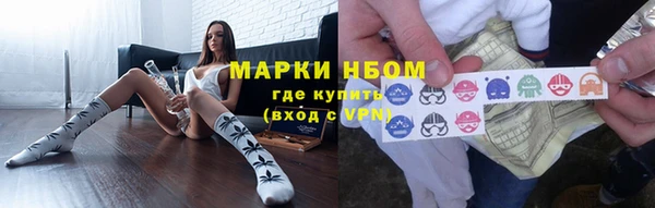 прущие грибы Бронницы