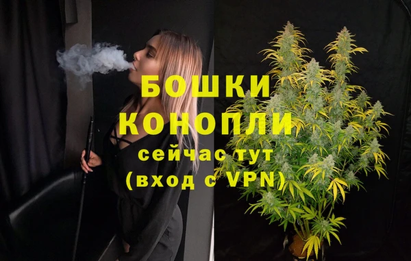 прущие грибы Бронницы