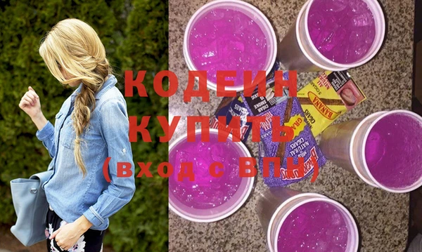 мдпв Бородино