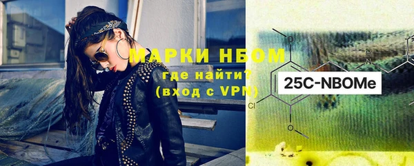 мдпв Бородино