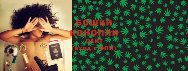 мдпв Бородино