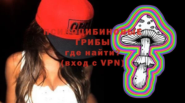 мдпв Бородино