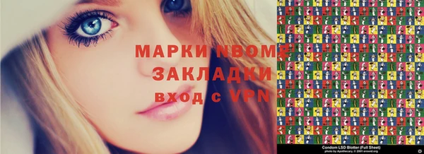 прущие грибы Бронницы