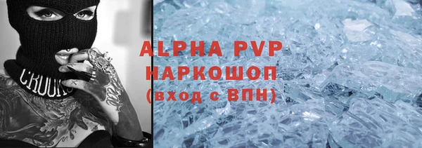 прущие грибы Бронницы