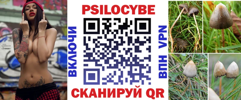 сколько стоит  Балаково  Псилоцибиновые грибы мухоморы 